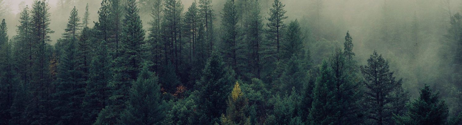 When to Prune