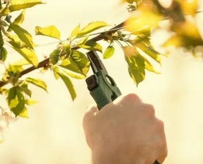 Surviving the Slow Season