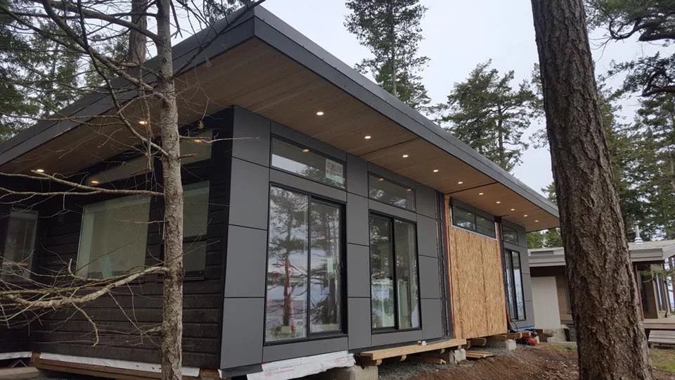 Modern house exterior with dark siding and large windows among tall trees