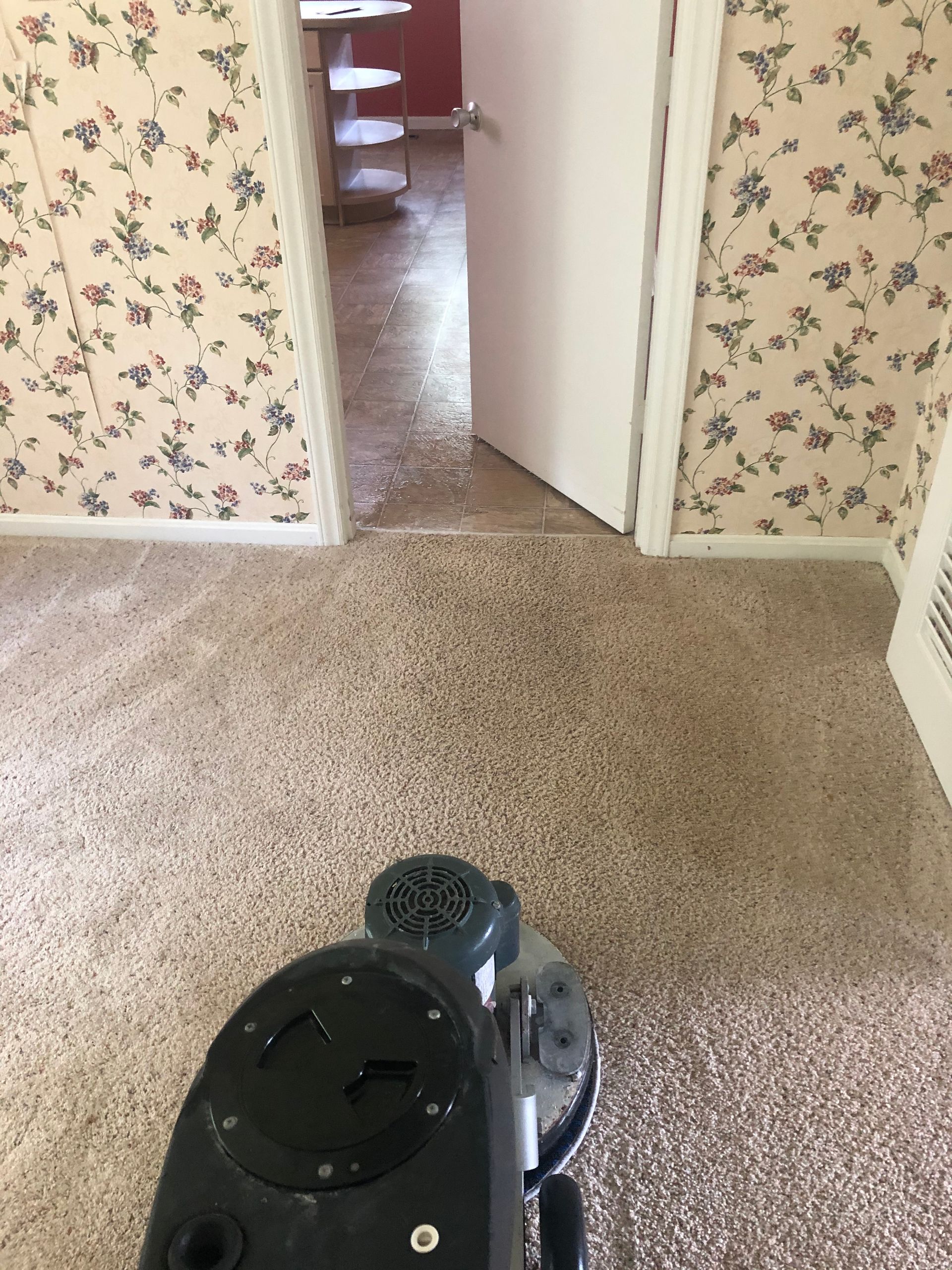 Lightning Clean Carpet Commercial Carpet Cleaner Cary NC