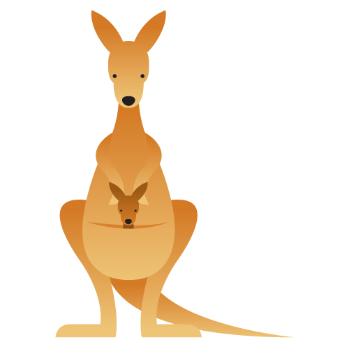 kangaroo illustration