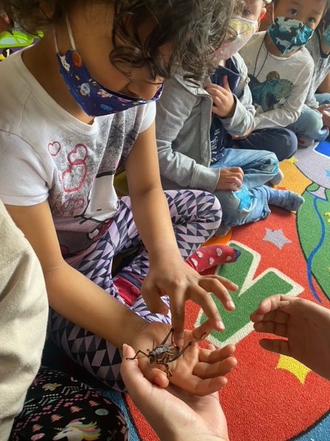 children in preschool 8