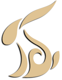 A swirl with the letter s on it