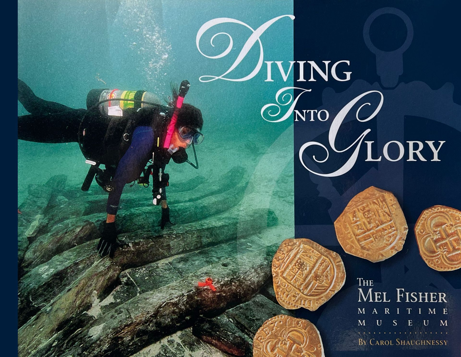 A poster for diving into glory shows a scuba diver