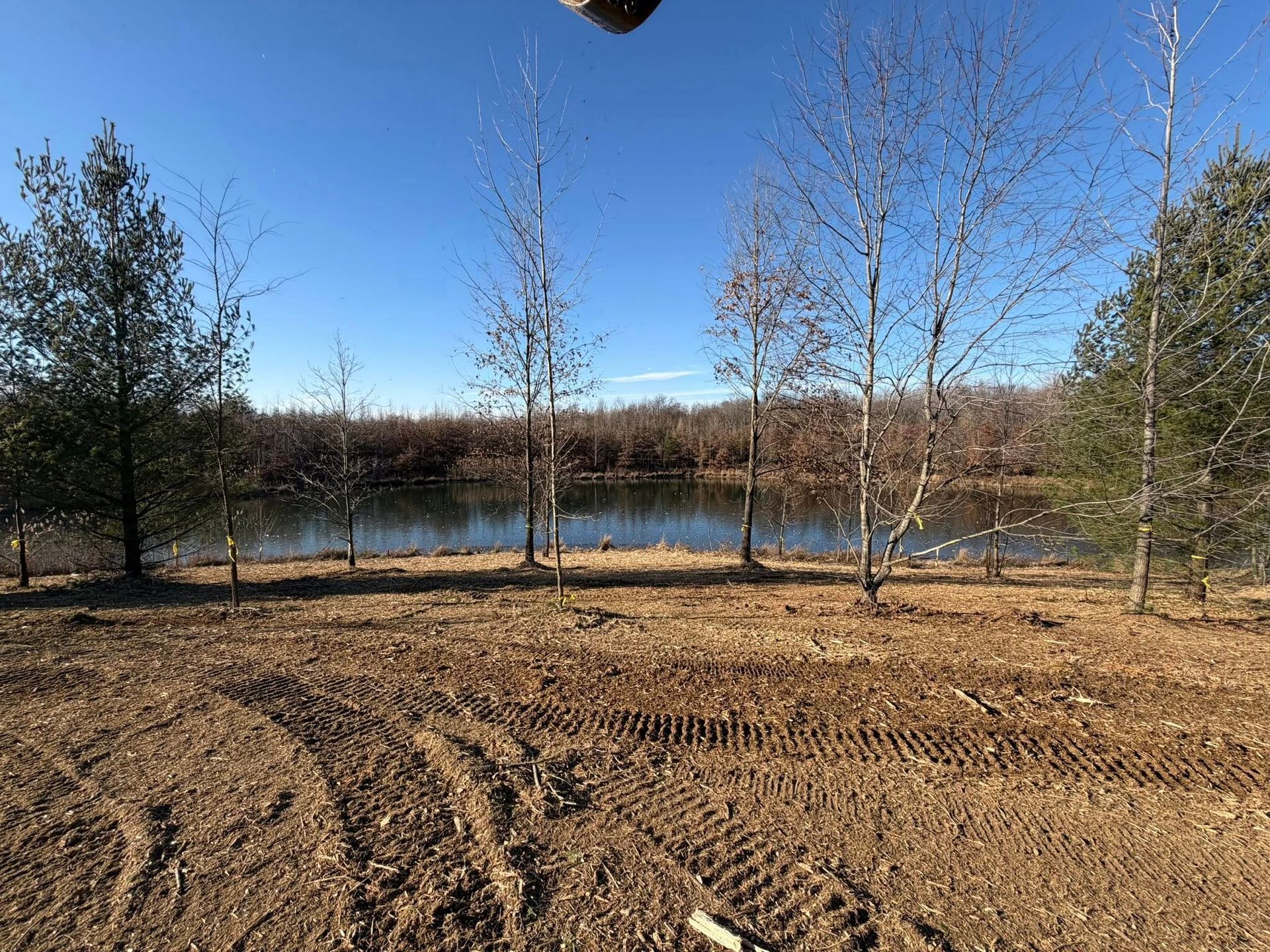 Sandy dirt lot beside a calm lake, with bare trees and a clear blue sky.