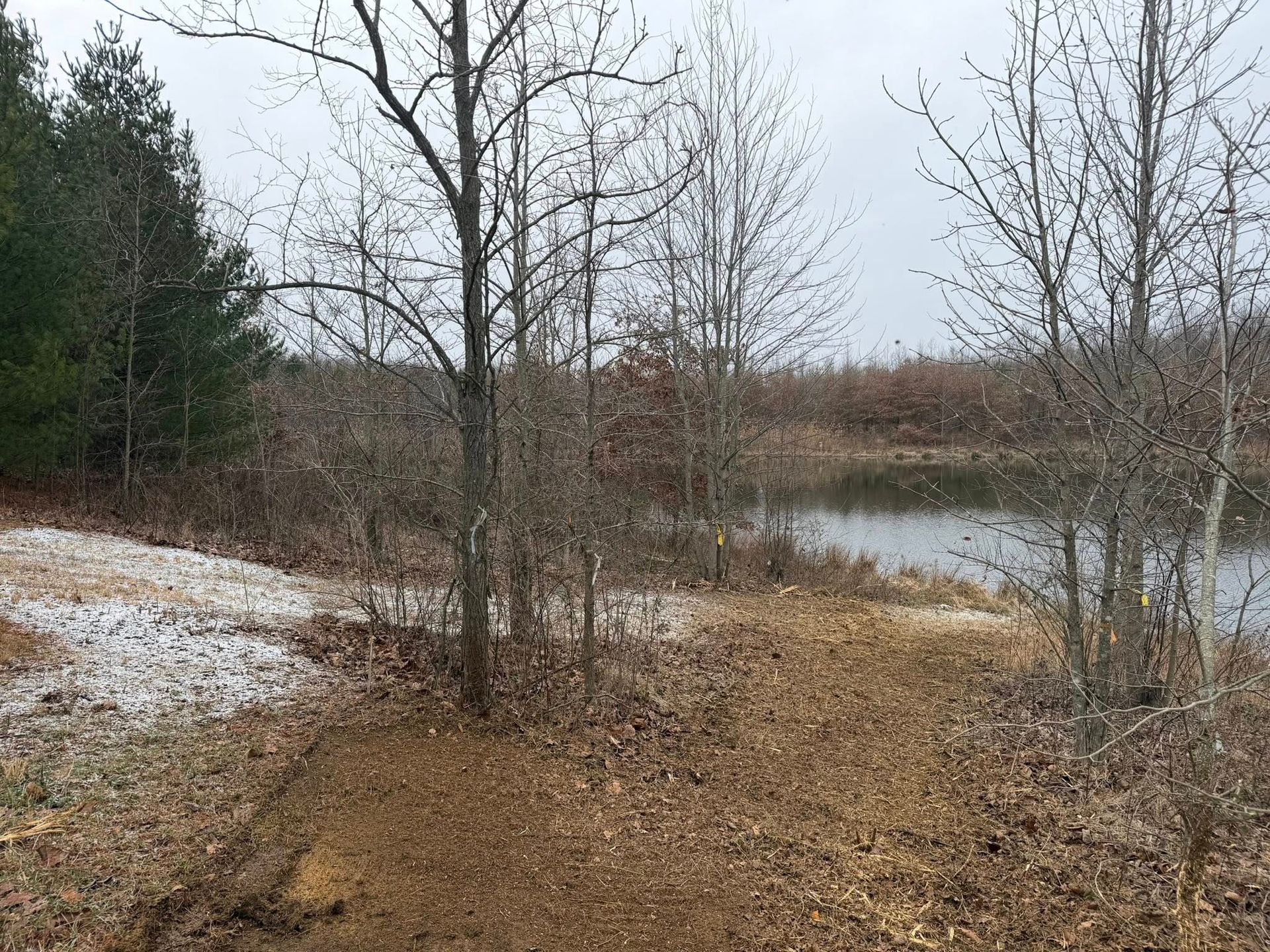 Leafy forest clearing beside a calm pond, with bare trees and patchy snow on the ground.