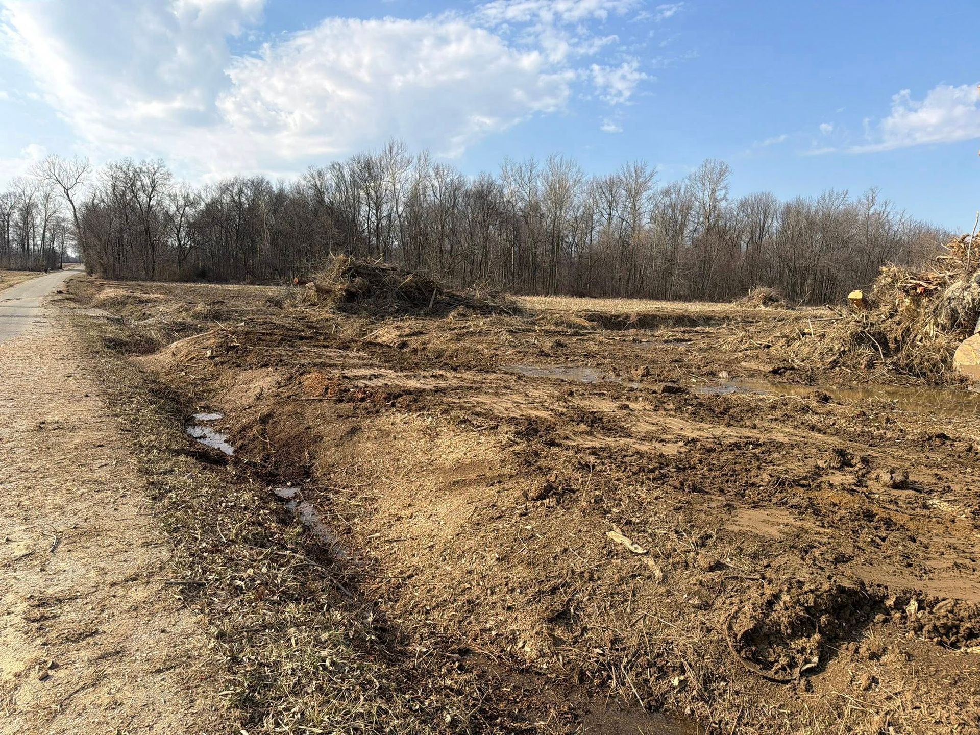 Cleared dirt lot with excavated earth, leafless trees, and a blue sky on a sunny day