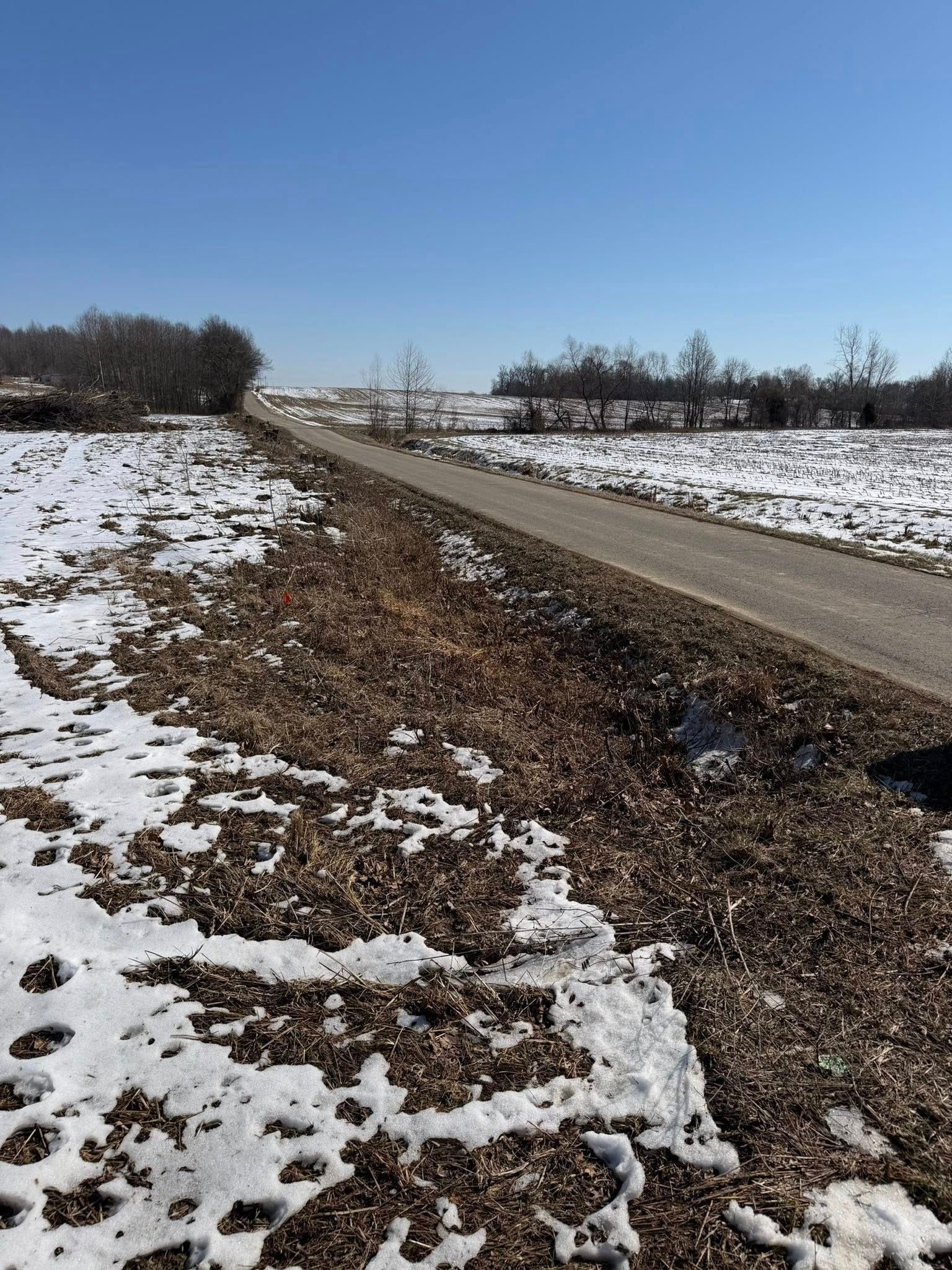 Snow-dusted gravel road through a rural field under a clear blue sky