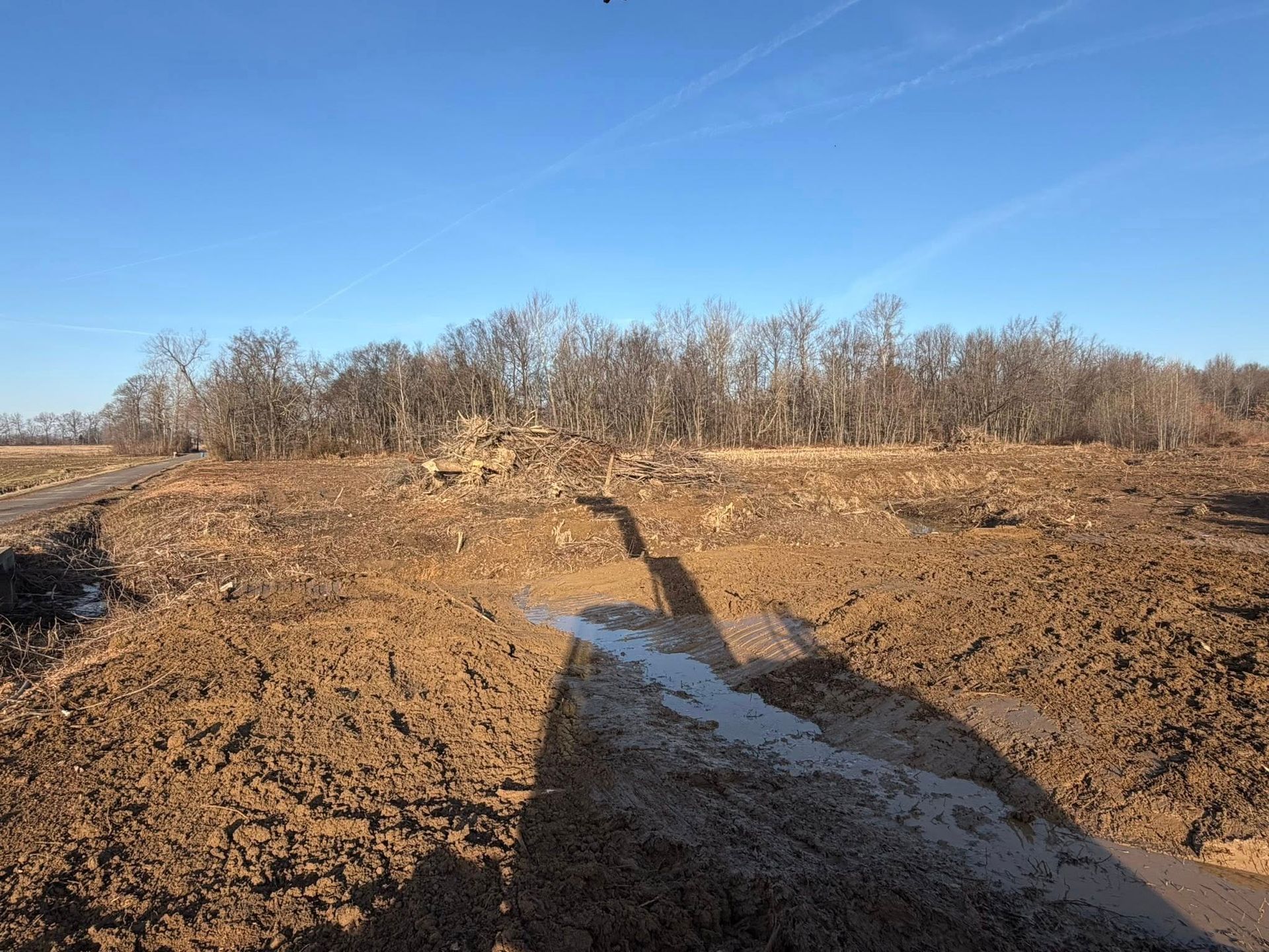 Sunny dirt field with a muddy trench and leafless trees under a blue sky
