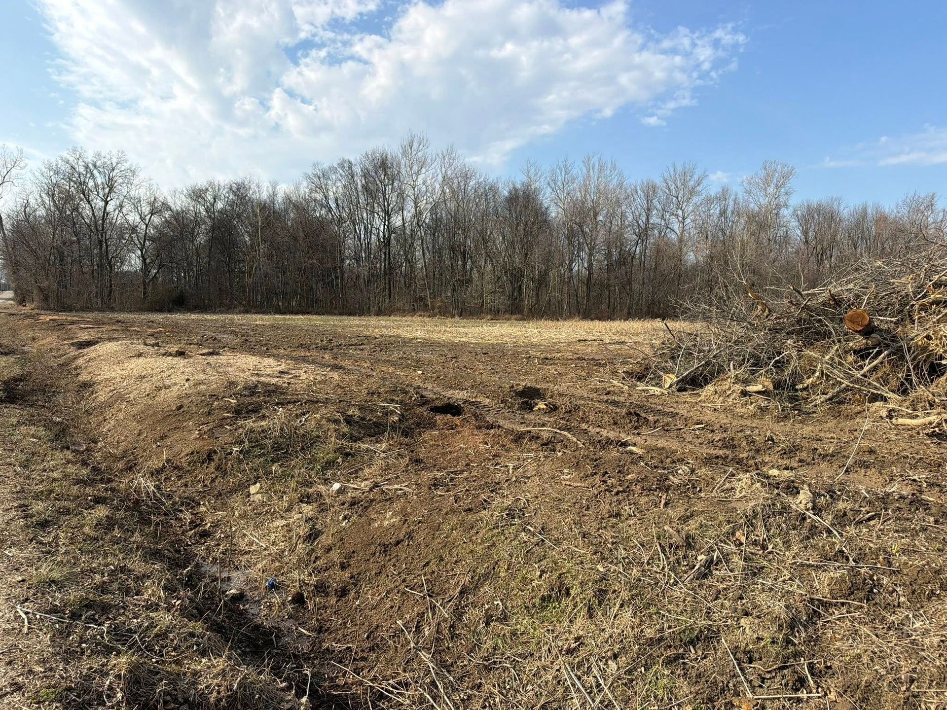 Open dirt field with bare trees under a partly cloudy blue sky