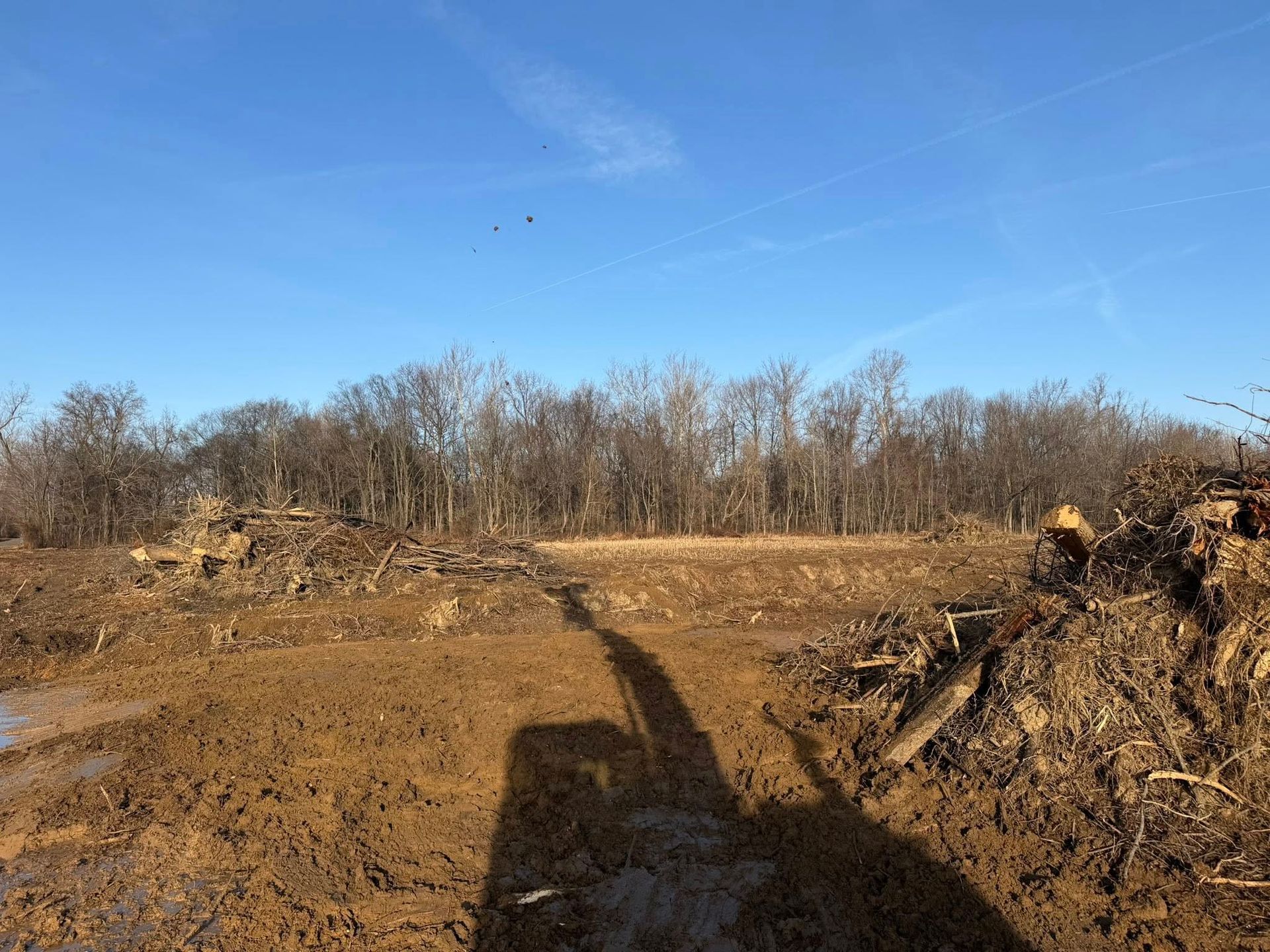 Dirt road at a cleared wooded site under a blue sky, with a vehicle shadow in the foreground.