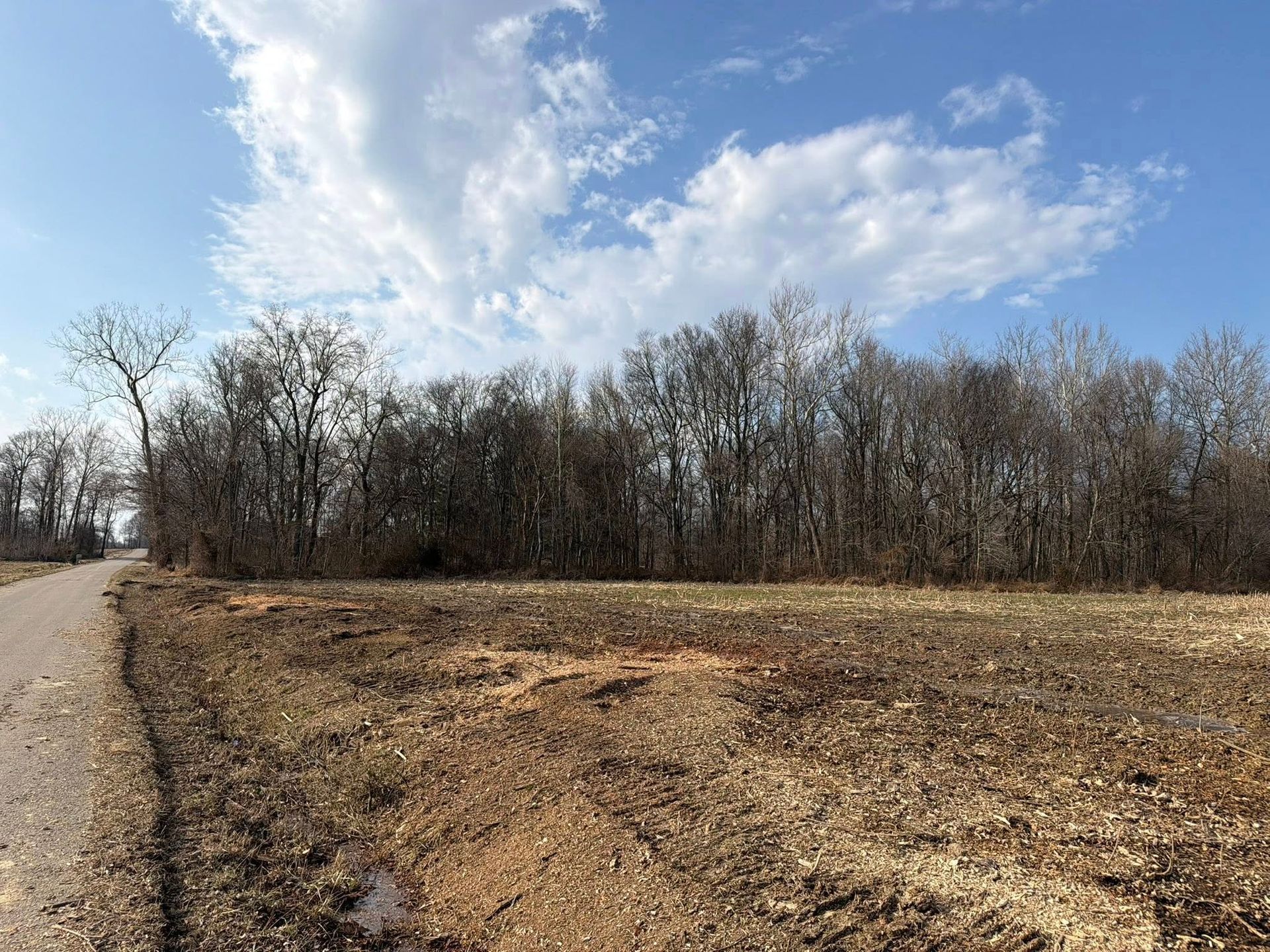 Dirt road beside a leafless wooded field under a bright blue sky with clouds