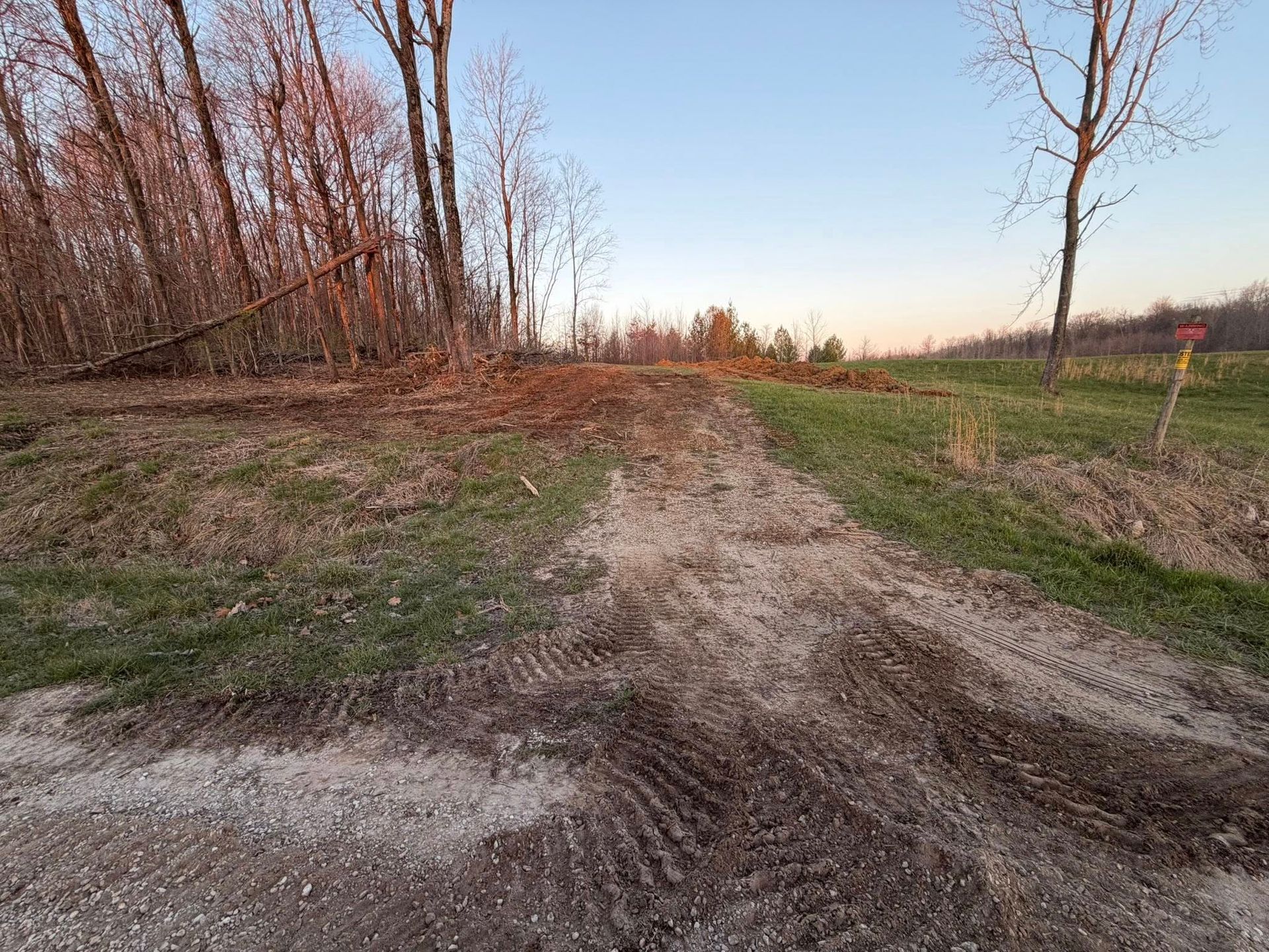 Rutted dirt trail through a grassy field at sunset, with leafless trees on the left and open sky ahead