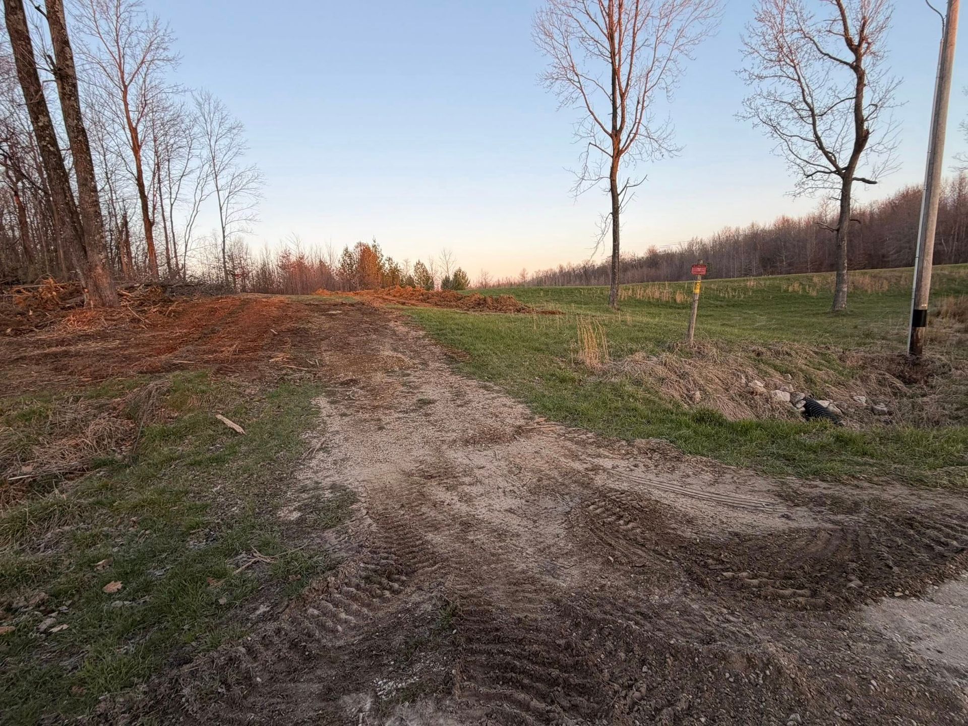 Dirt path through a grassy field with bare trees at sunset