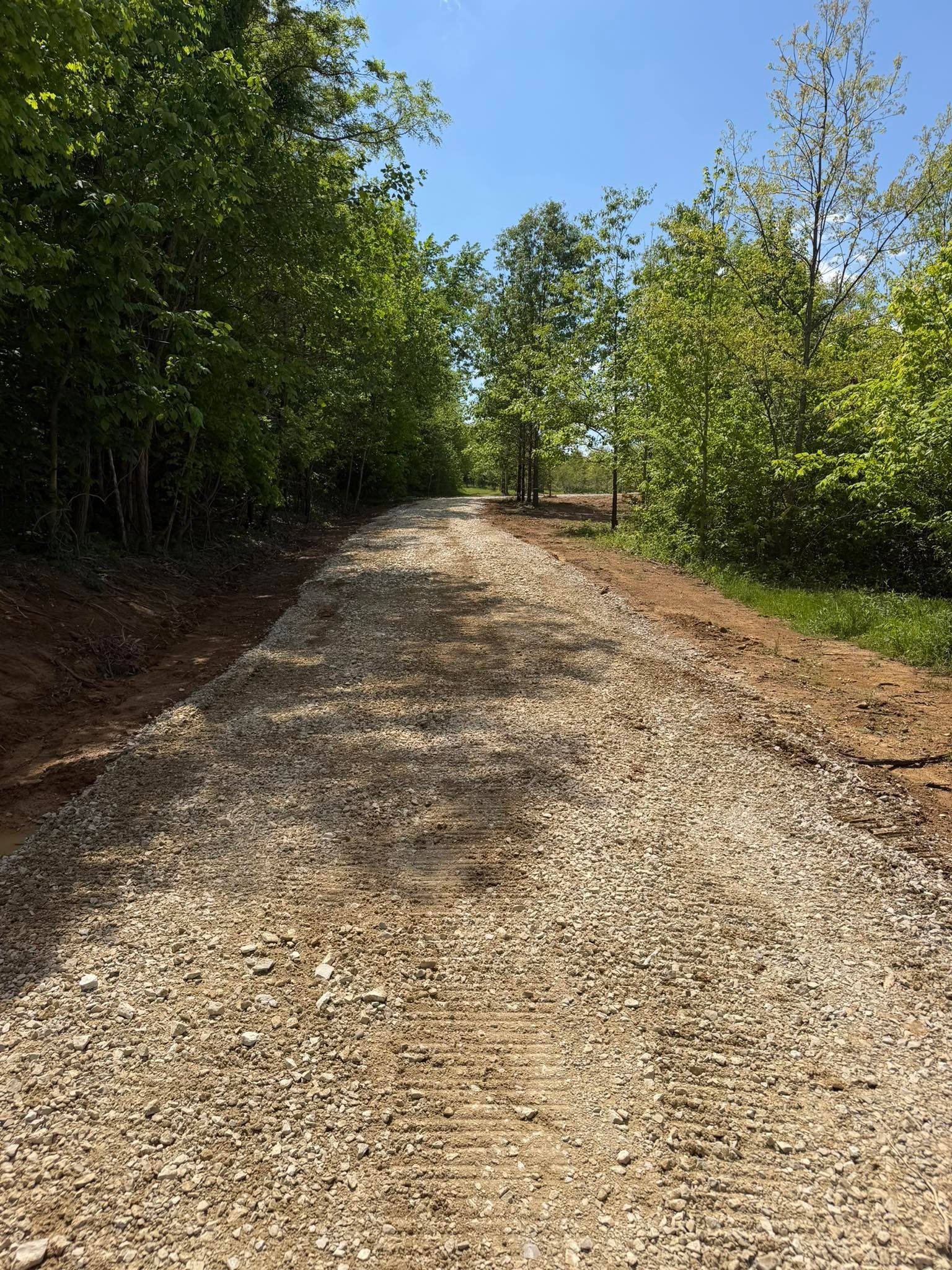 Gravel road through green trees under a bright blue sky