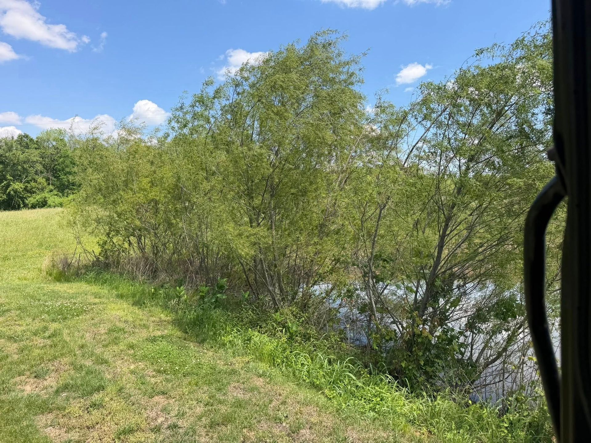 Green shrubs beside a calm river under a bright blue sky on a sunny day