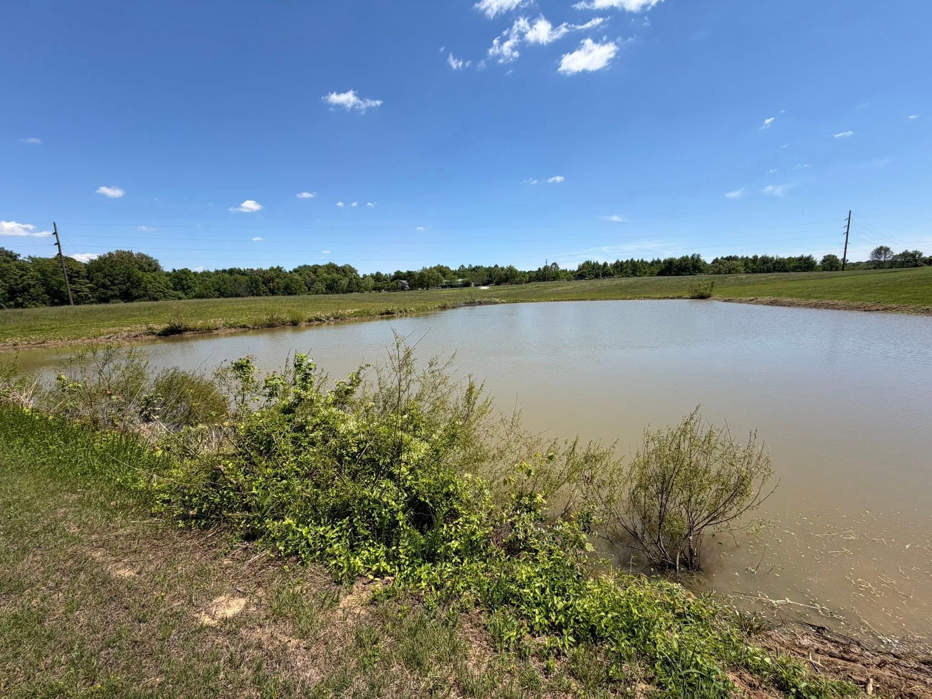 Small muddy pond beside grassy fields under a bright blue sky with scattered clouds