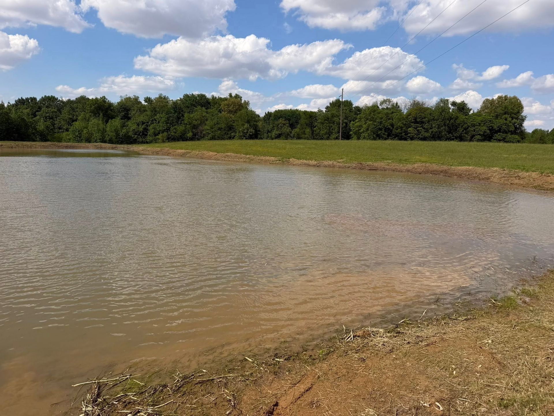 Shallow pond beside a grassy bank with trees and cloudy sky in the background