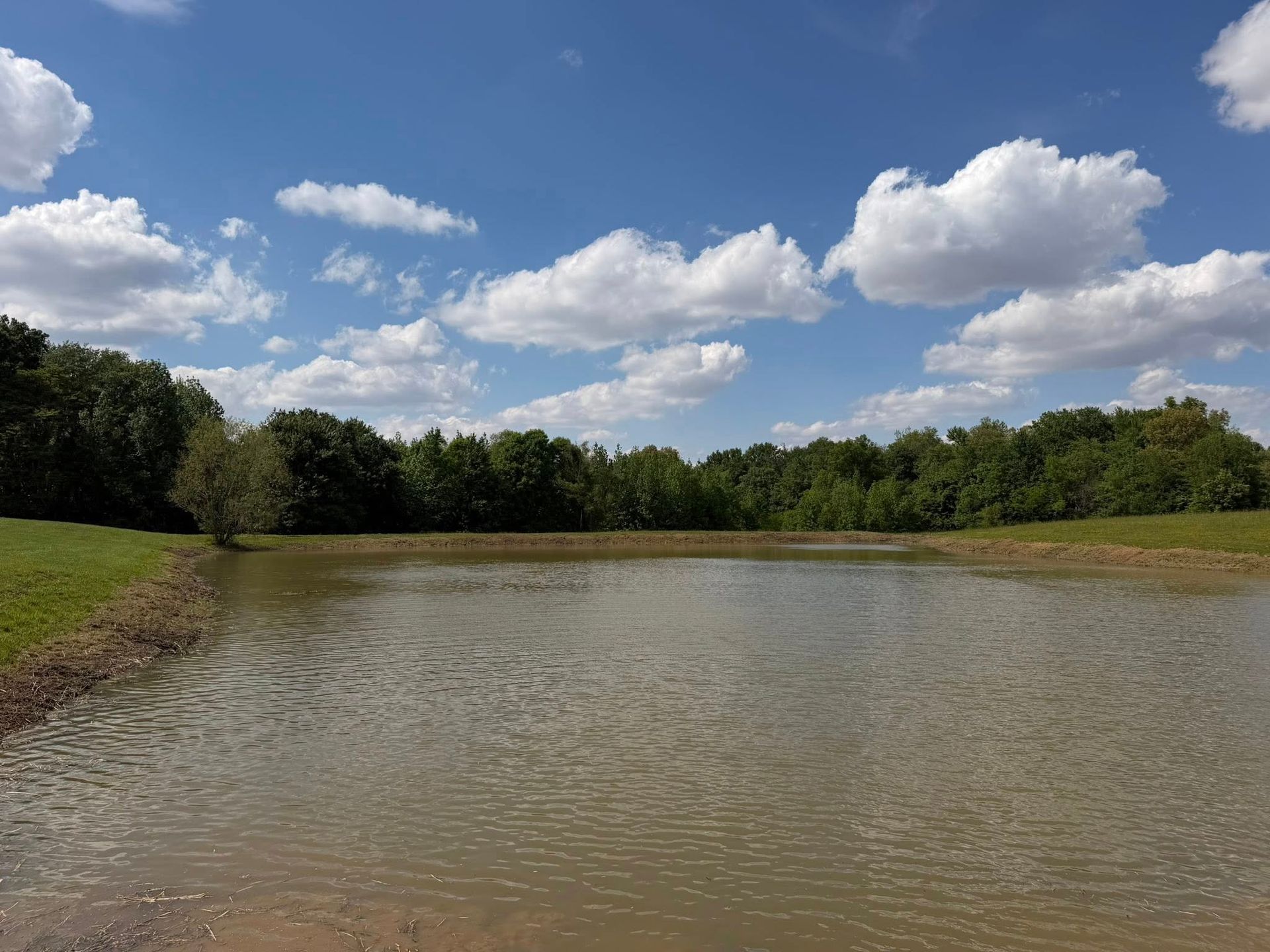 Calm pond with rippling water, grassy banks, and a blue sky with fluffy clouds above trees