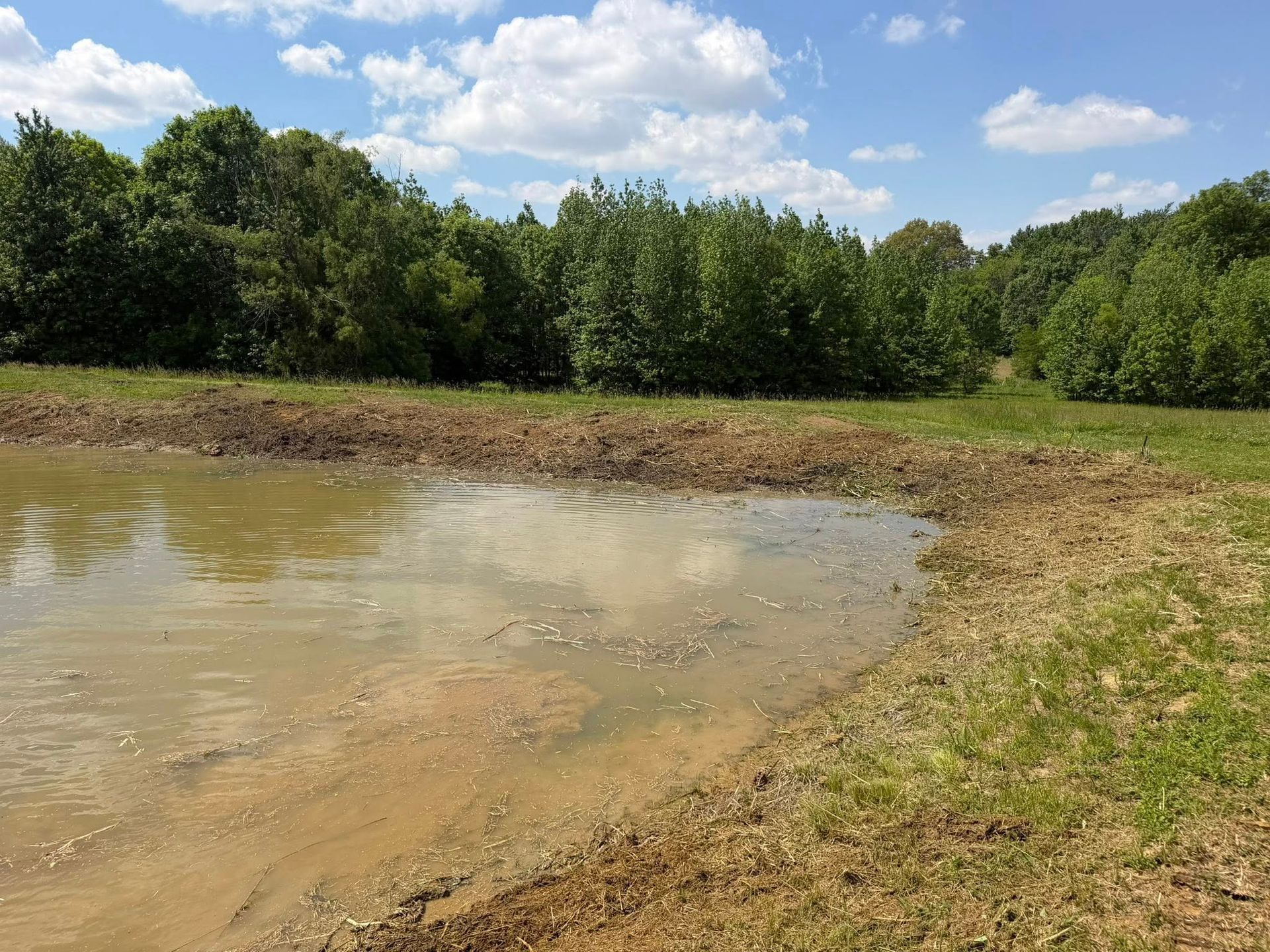 Mud-filled pond under a blue sky, bordered by grass and dense green trees.