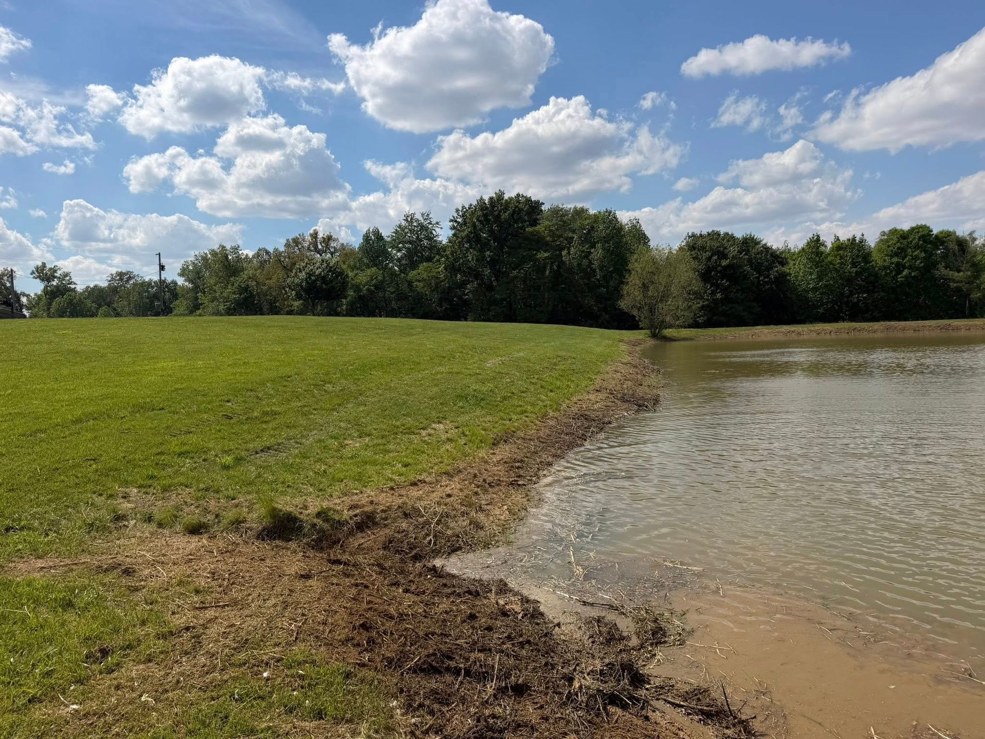 Grassy shoreline beside muddy water under a bright blue sky with clouds
