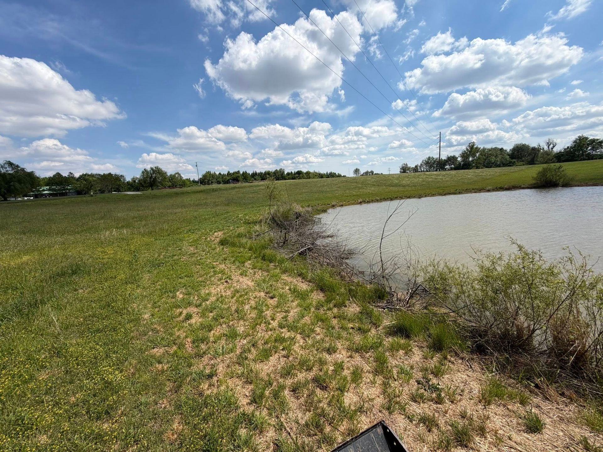 Grassy field beside a small pond under a bright blue sky with scattered clouds