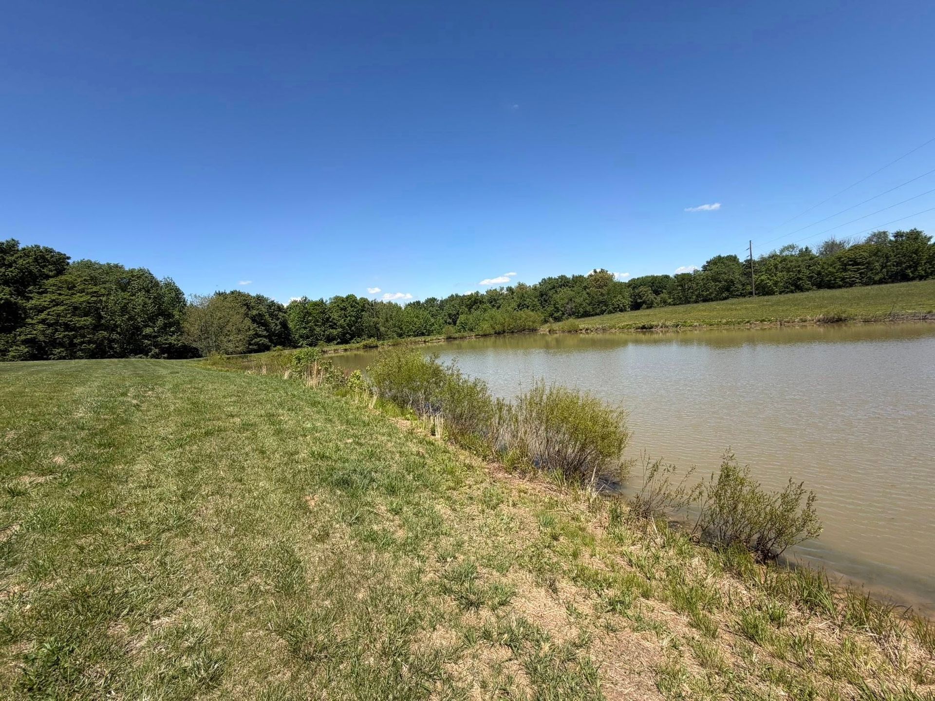 Grassy path beside a calm pond under a clear blue sky, with trees and bushes along the shore