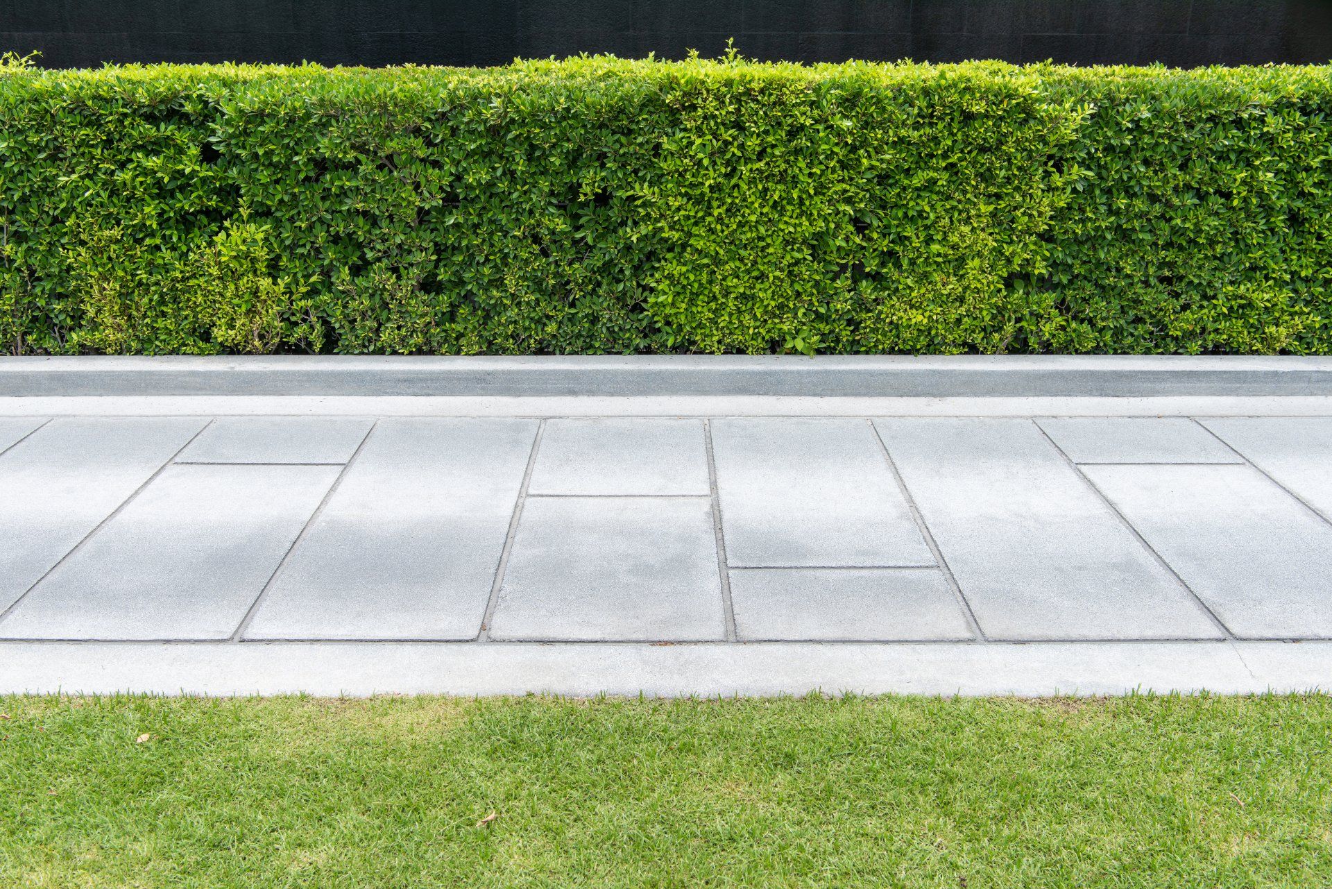 Grey stamped concrete walkway with a hedge on one side and grass on the other.