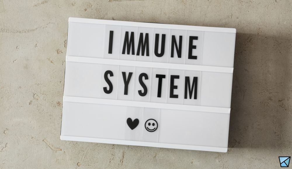 Contact us for chiropractic care to boost your immune system in Reading, Wyomissing and Berks County.