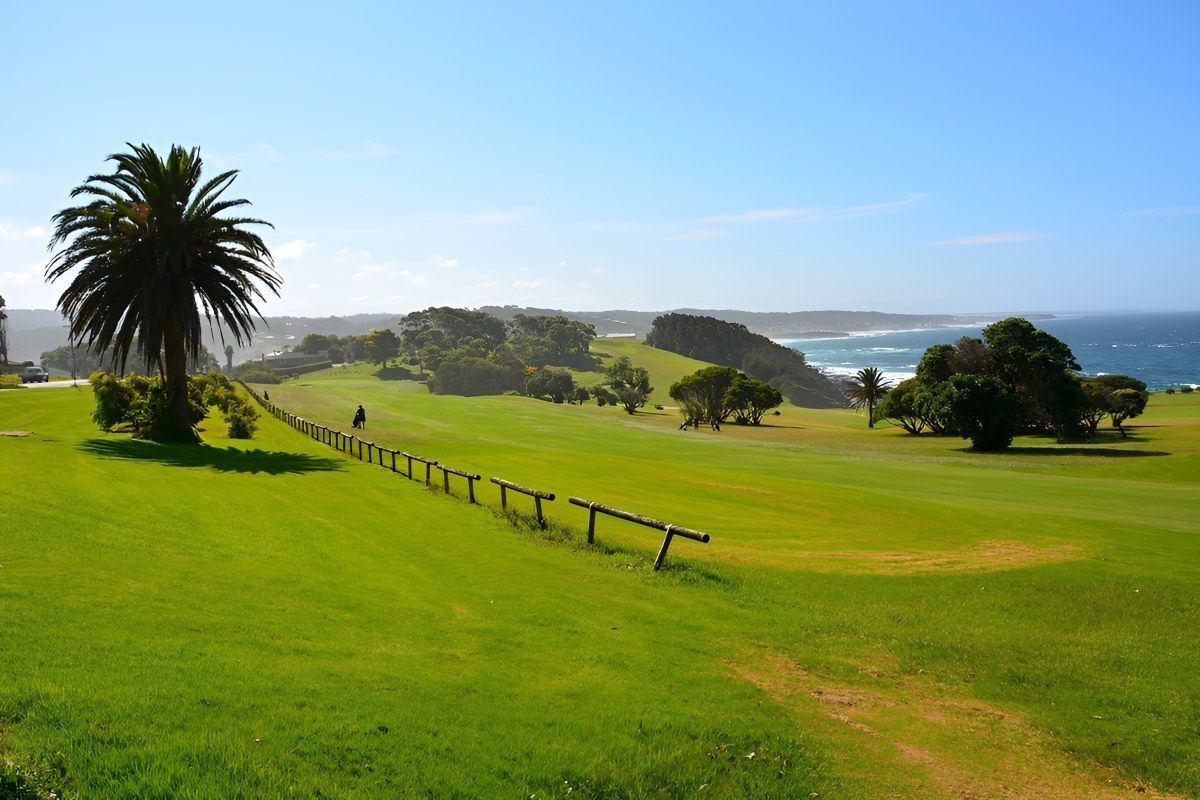 A Grassy Field With A Fence And A Palm Tree — The Guttering Cleaning Man in Pacific Palms, NSW