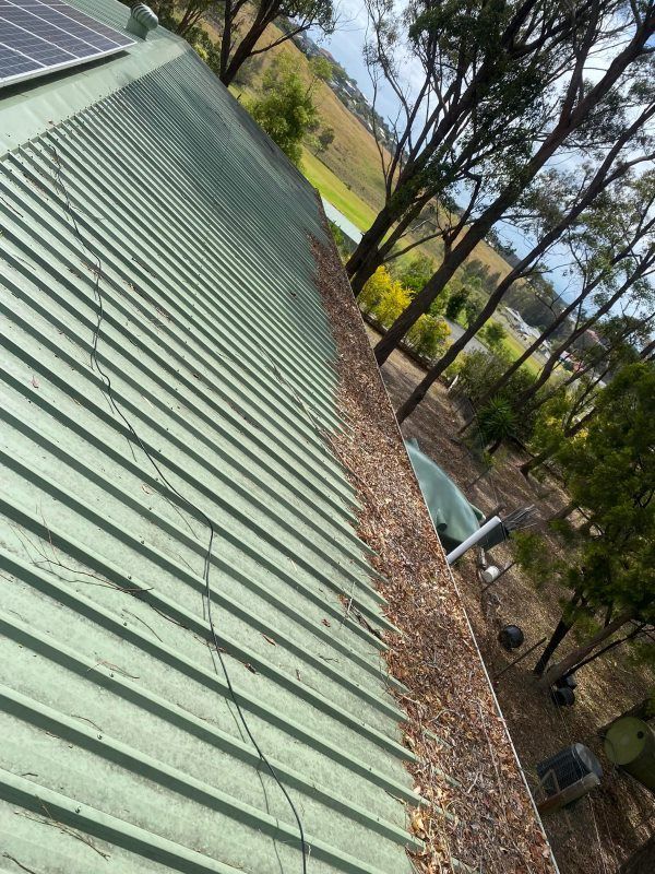 A Green Roof With A Gutter Filled With Leaves And Trees In The Background — The Guttering Cleaning Man in Wingham, NSW