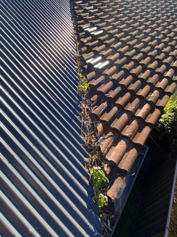 An Aerial View Of A Roof With A Gutter Filled With Leaves — The Guttering Cleaning Man in Forster, NSW