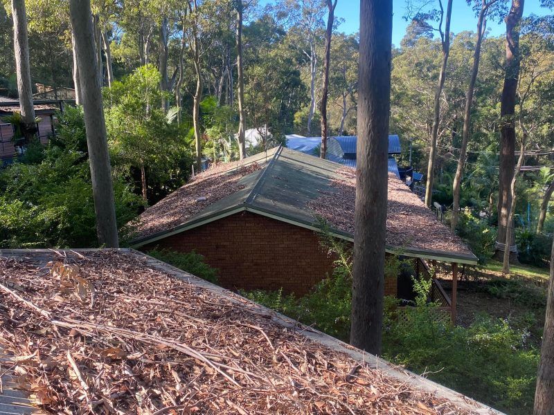 A House In The Middle Of A Forest With A Roof That Is Covered In Leaves — The Guttering Cleaning Man in Wingham, NSW