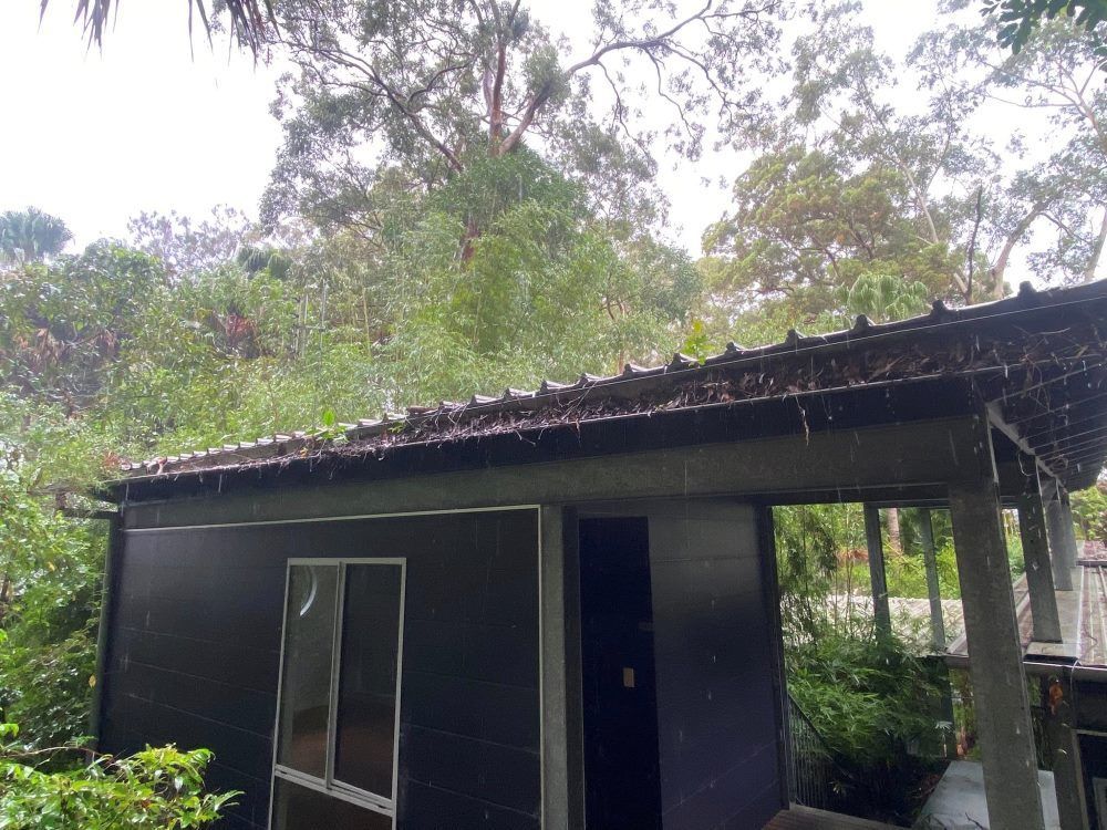 A small black house with a metal roof is surrounded by trees.