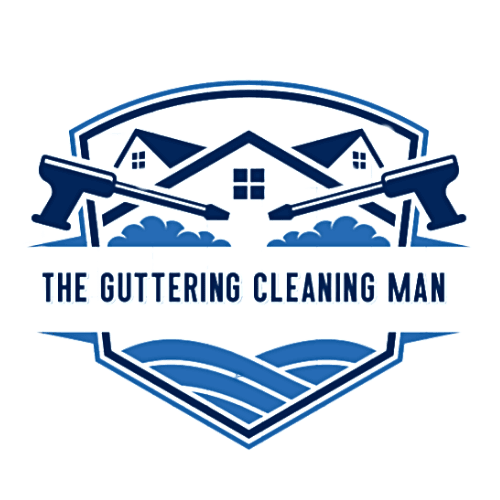 Gutter Cleaning in Forster Gutter Cleaning in Forster