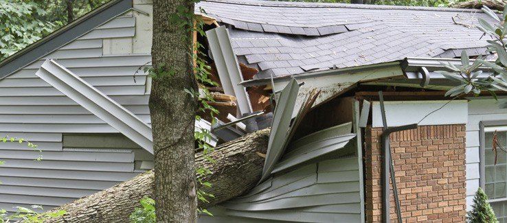 Roof damage 