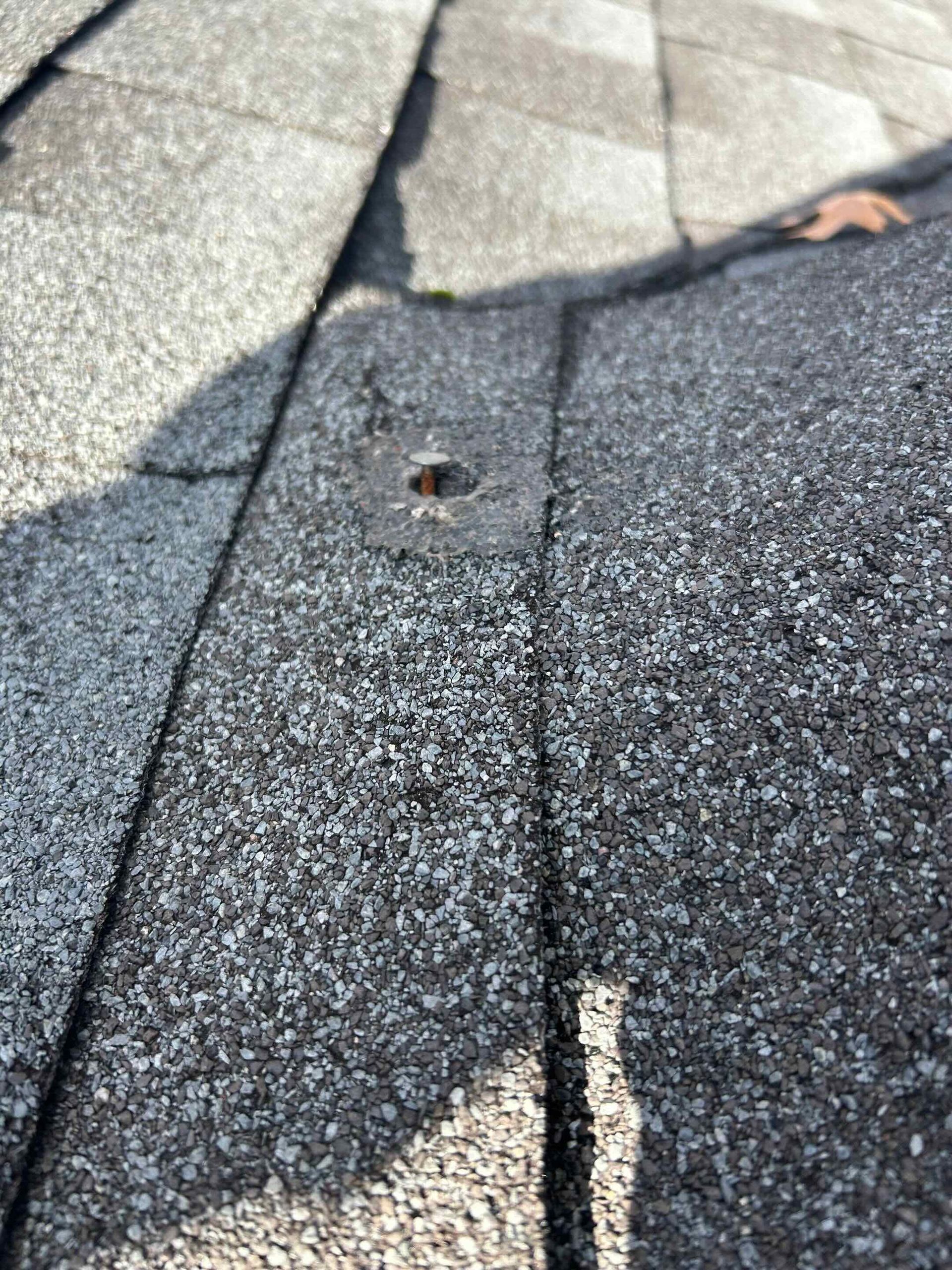 nail pops on asphalt shingle roof