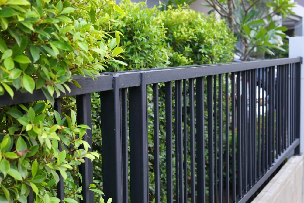 A Black Metal Fence Surrounded by Trees and Bushes — Perry's Timber & Fencing In Kiama, NSW
