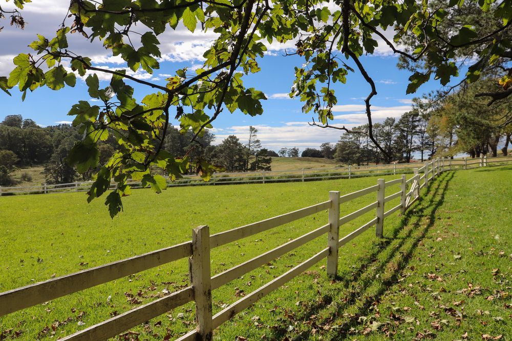 A Wooden Fence Surrounds a Grassy Field With Trees — Perry's Timber & Fencing In Thirroul, NSW