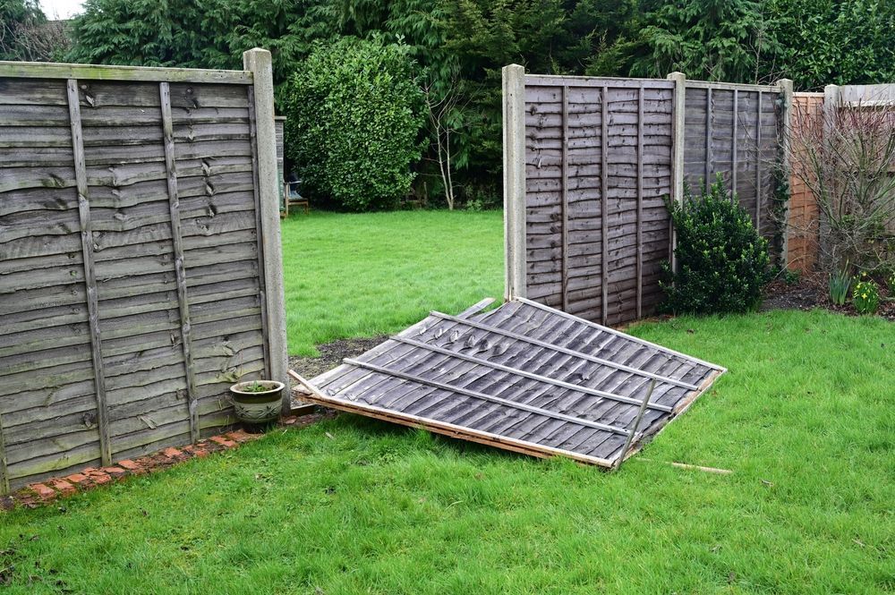 A Wooden Fence is Sitting on Top of a Lush Green Lawn — Perry's Timber & Fencing In Thirroul, NSW