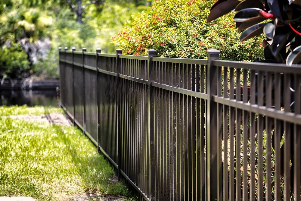 A Long Metal Fence Surrounds a Grassy Area Next to a Body of Water — Perry's Timber & Fencing In Kiama, NSW