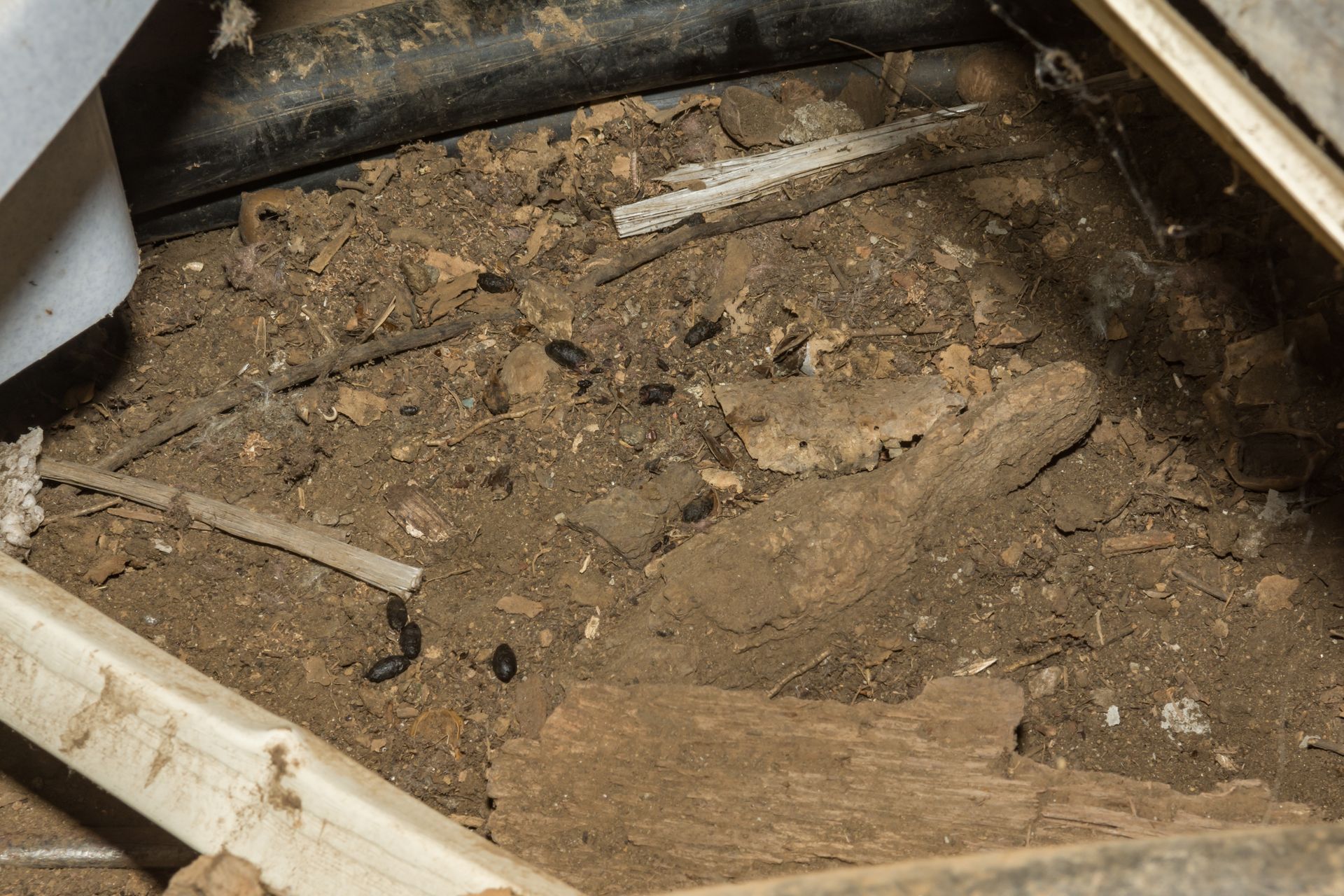 Dirty wooden box filled with soil, rocks, and debris, seen from above