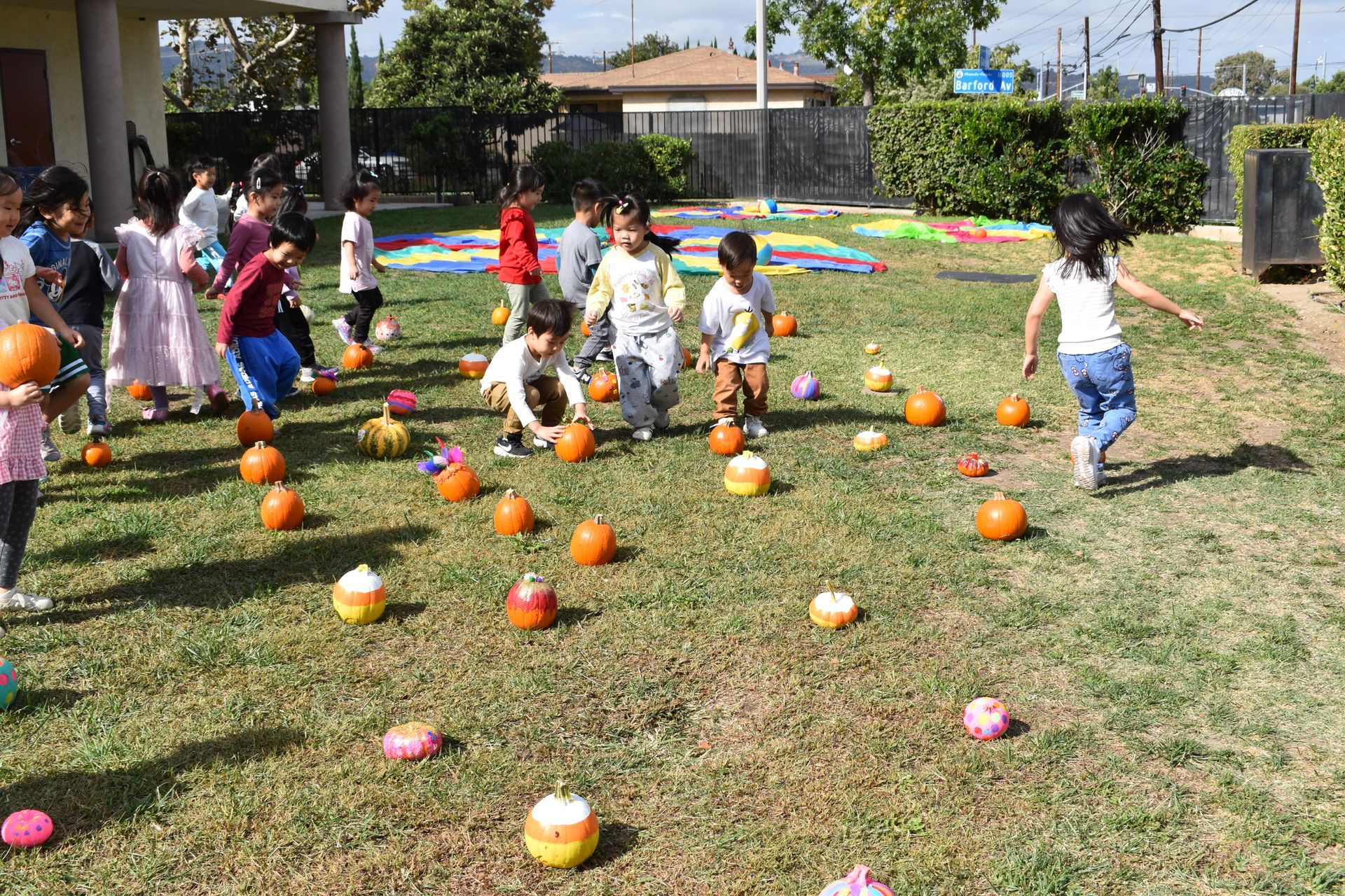 Children playing in a grassy yard, surrounded by pumpkins. Some kids are running, others are reaching for pumpkins.