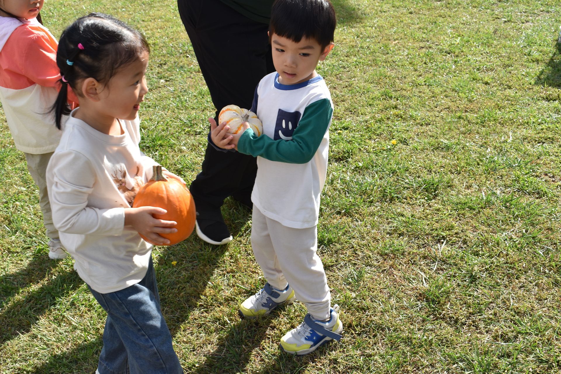 Two children holding pumpkins on a grassy field. One child offers a pumpkin to the other.