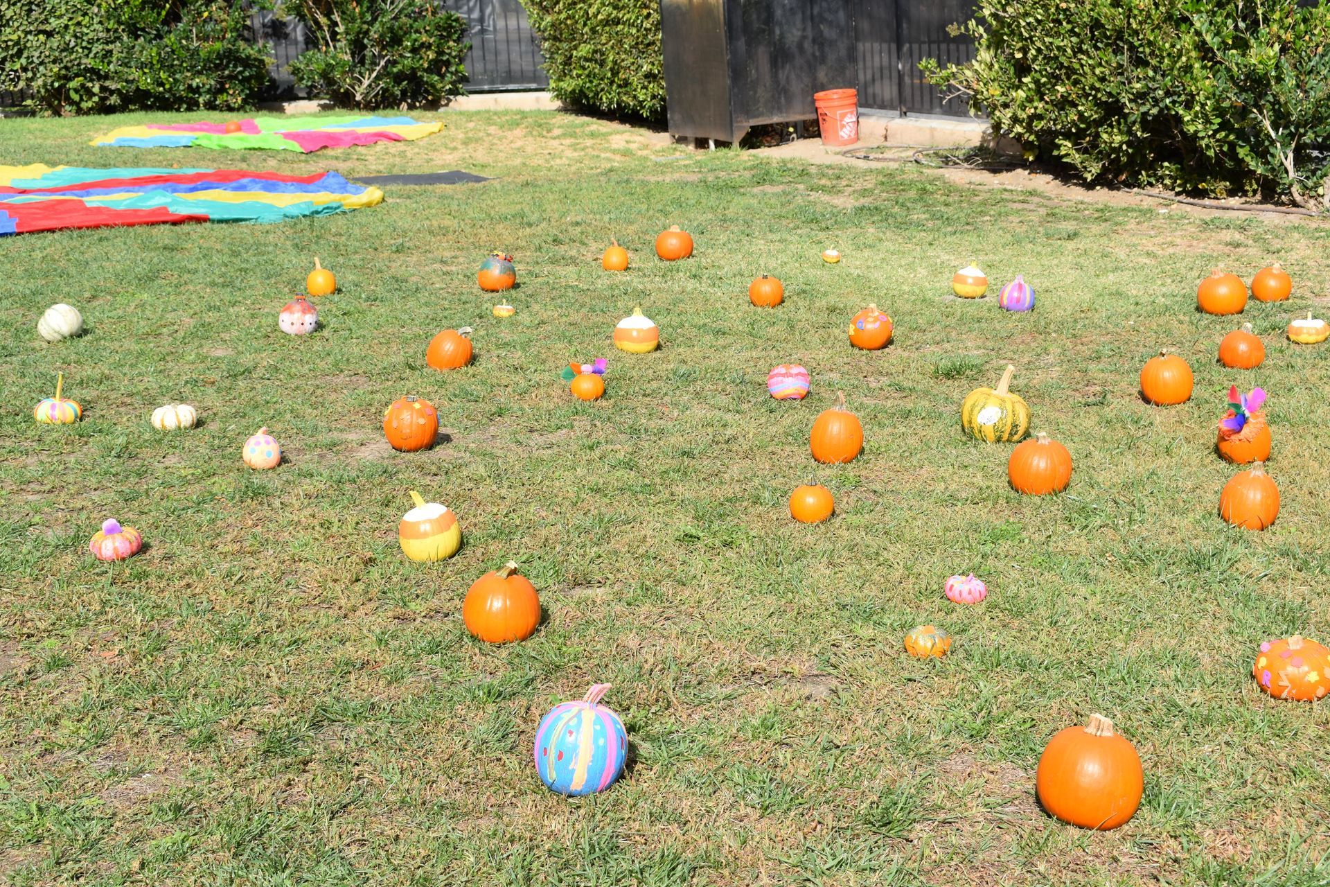 Lawn scattered with small pumpkins of various colors and sizes. A colorful play mat is in the top left.