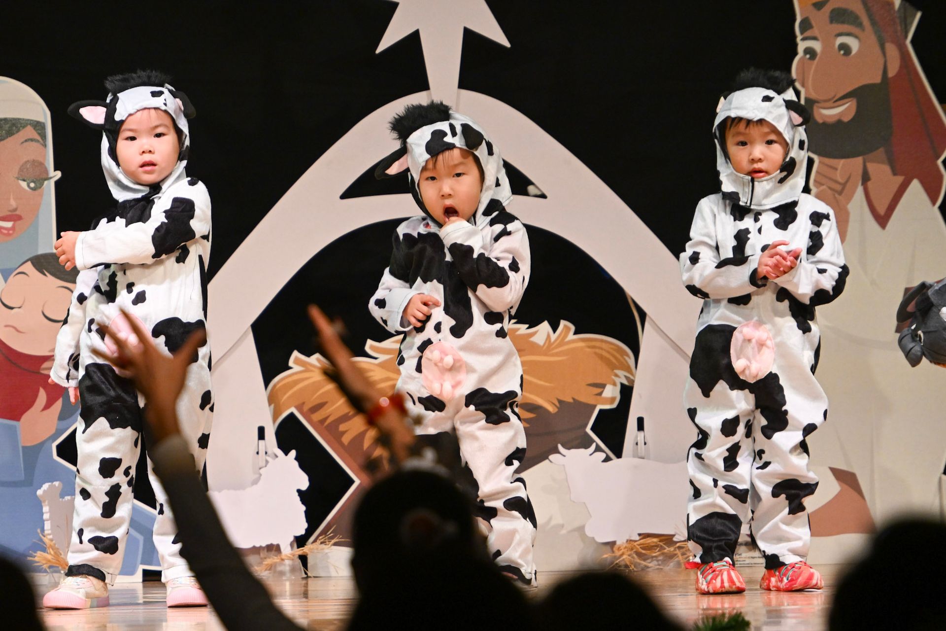 Three children in cow costumes on a stage, performing with a nativity scene backdrop.