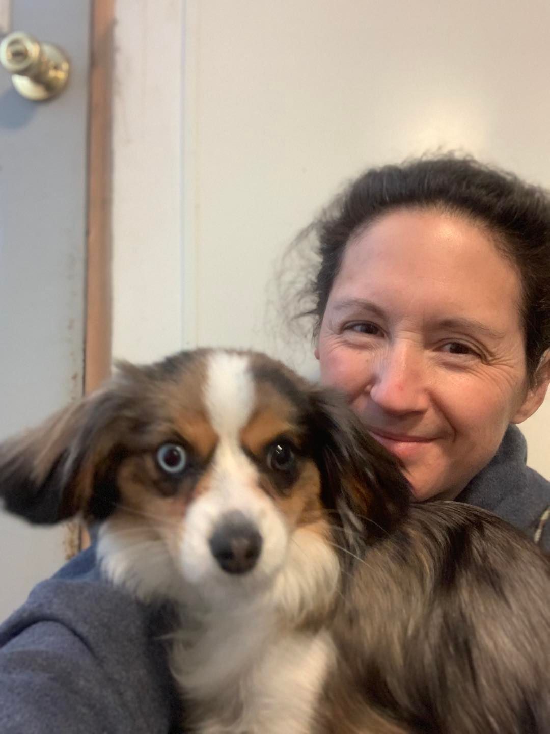 Dog Training Classes VT Dog Boarding VT Pet Grooming Lyndonville