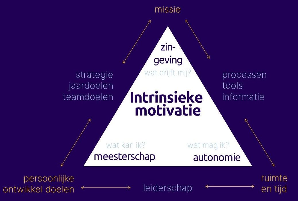 Intrinsieke motivatie