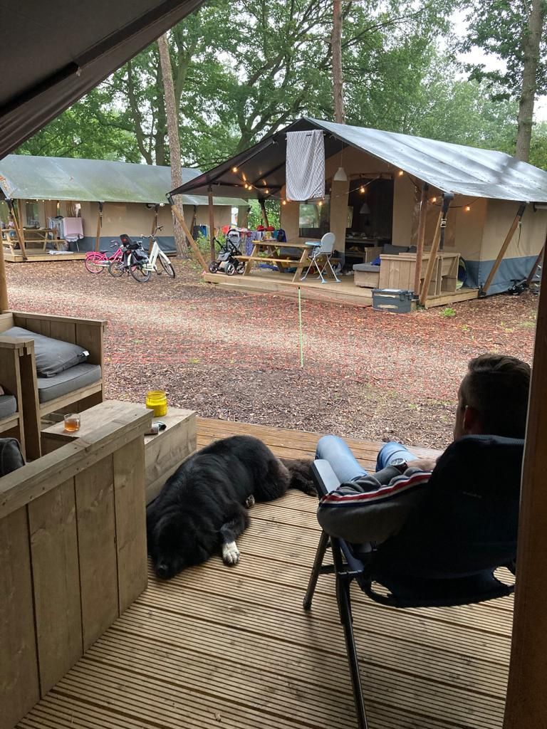 Ollie en ik op vakantie