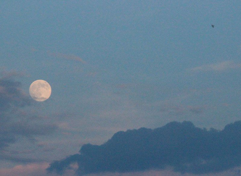 Moon Afternoon